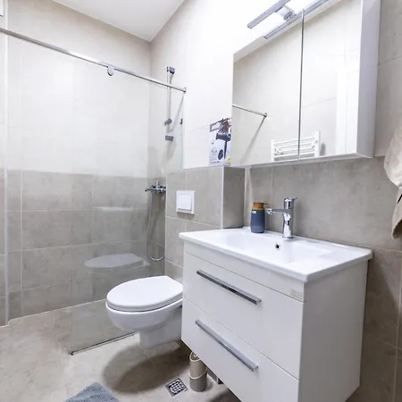 Old Town Bardakcije Skyline Design 公寓 塞拉耶佛